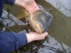 DSC06180.jpg