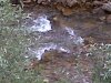 IMG00037-20110702-1226.jpg