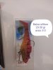 IMG_20191109_210609.jpg