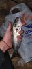 20191117_182855.jpg