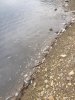 109575B2-392F-4AB7-9A3F-8C98300E93E1.jpeg