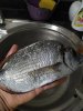 IMG_20200304_215540.jpg