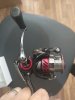 IMG_20200622_175142.jpg