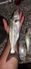 20201031_030143.jpg