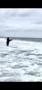 90C02702-FCED-45D9-86CD-AED3A26B241D.jpeg