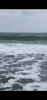 C3D85C7D-EE07-4C02-A150-37F48A4032E0.png