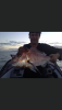 D5B95DF2-4706-4F50-A69C-6835B712A6F7.png