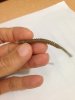 thumbnail_IMG_8444.jpg