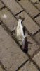 IMG-20210711-WA0003.jpeg