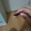 IMG20210624172714.jpg