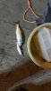 IMG-20211110-WA0028.jpeg