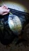 IMG-20220422-WA0002.jpeg