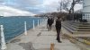 20150113_134950.jpg 20150113_134950.jpg