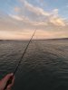 IMG_20231105_180322.jpg