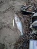 IMG_20231105_183155.jpg