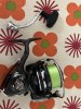 IMG_3829.jpeg
