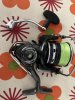 IMG_3828.jpeg