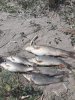 IMG-20240501-WA0010.jpg