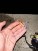 IMG_6405.jpeg