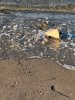 IMG_6436.jpeg