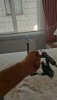 IMG-20241019-WA0020.jpeg