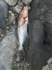 IMG_8680.jpeg IMG_8680.jpeg