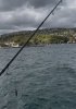 IMG_1422.jpeg IMG_1422.jpeg