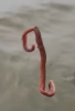 1770057391478.png