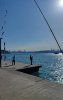 IMG_20260603_172614.jpg