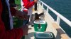 20150412_103456.jpg