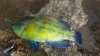 20150502_180639.jpg