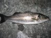IMG_7751.jpg