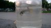 WP_20150708_20_33_49_Pro.jpg