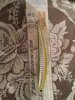 Tideminnow120 H-90.jpg