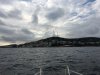 IMG_54253.jpg