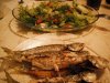 DSCF3160.jpg