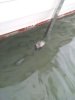 20120626_195157.jpg