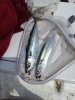 20120520_135357.jpg