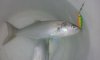 20130220_085813.jpg