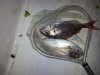 20120603_211030.jpg