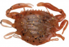 upload_2016-2-4_8-21-50.png upload_2016-2-4_8-21-50.png