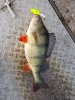 20160205_162937.jpg