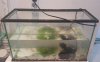 20160321_181237.jpg