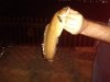 20130817_212013.jpg