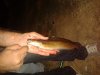 20130817_205534.jpg