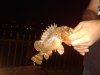 20130817_203521.jpg