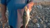 WP_20160630_06_17_10_Pro.jpg