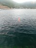 IMG_20160711_060838.jpg