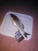 IMG_20160817_235338.jpg