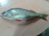 20160828_135142.jpg